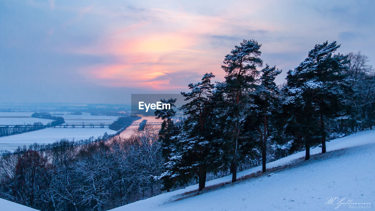 TREES ON SNOW COVERED LAND AGAINST SKY