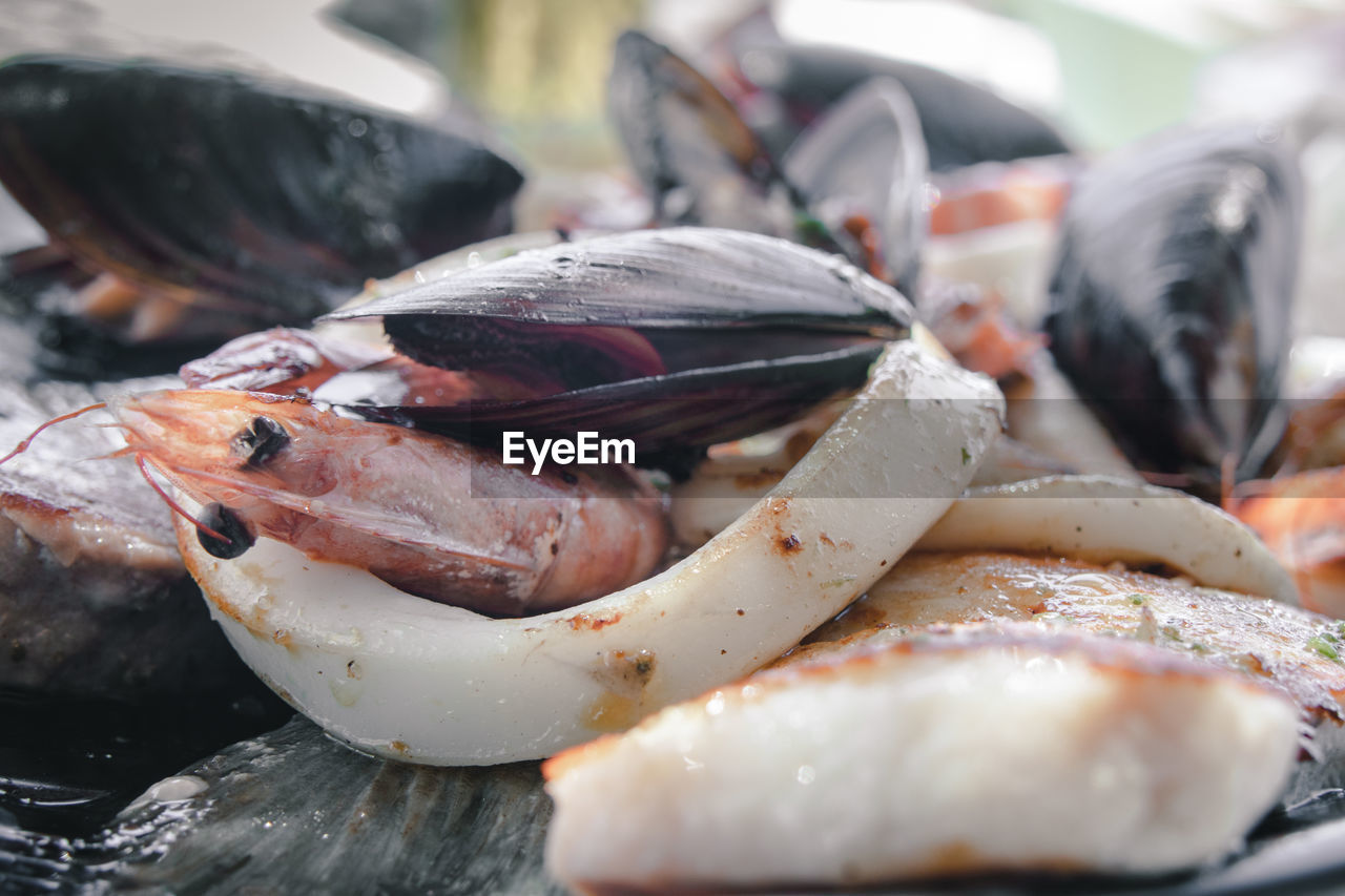 CLOSE-UP OF FISH IN PLATE