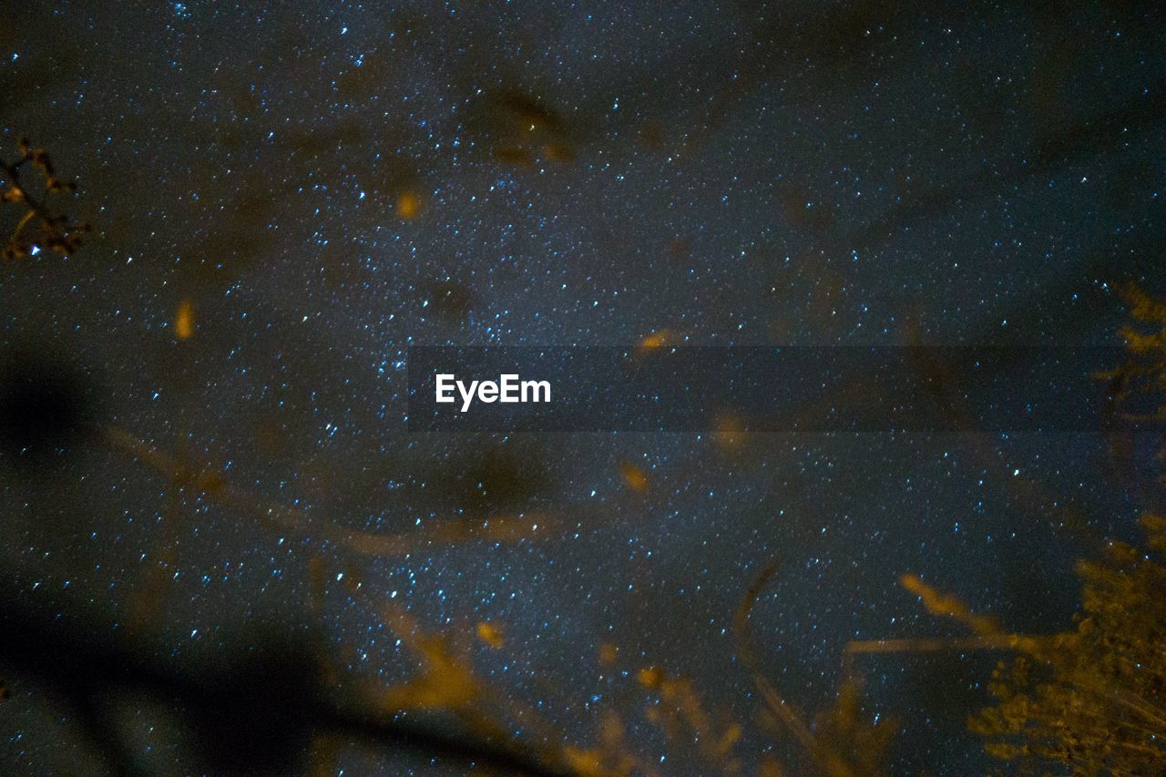 Close-up of star field against sky at night