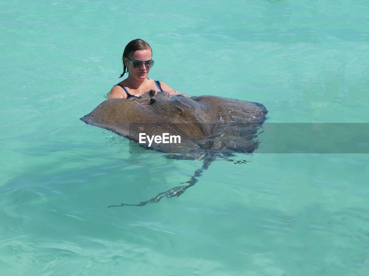 Woman swimming by stingray in sea