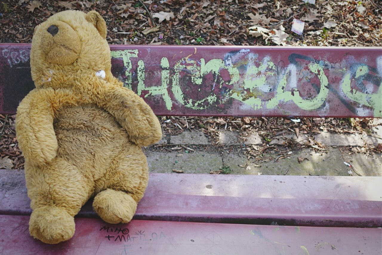 Abandoned teddy bear on bench