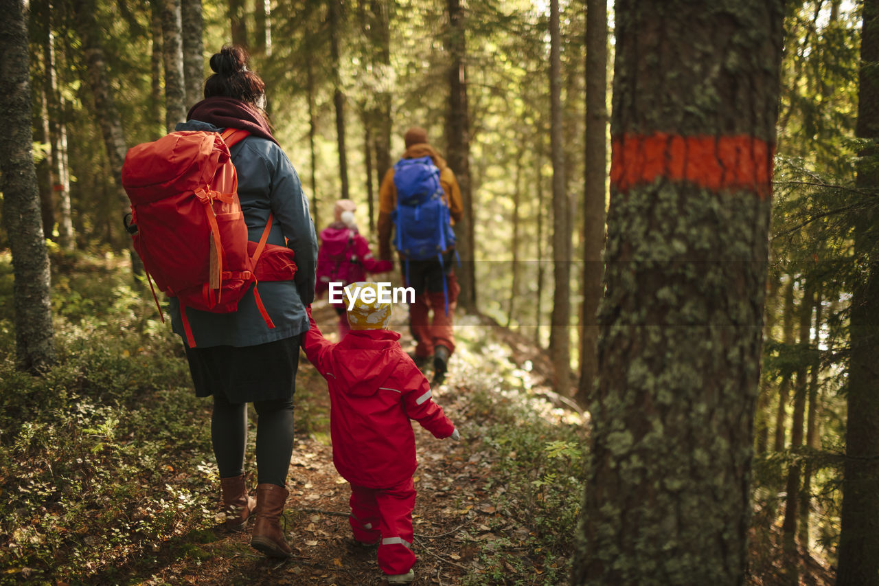 Family walking through forest