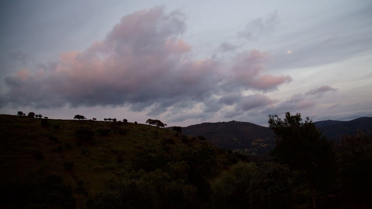 TREES ON LANDSCAPE AGAINST SKY