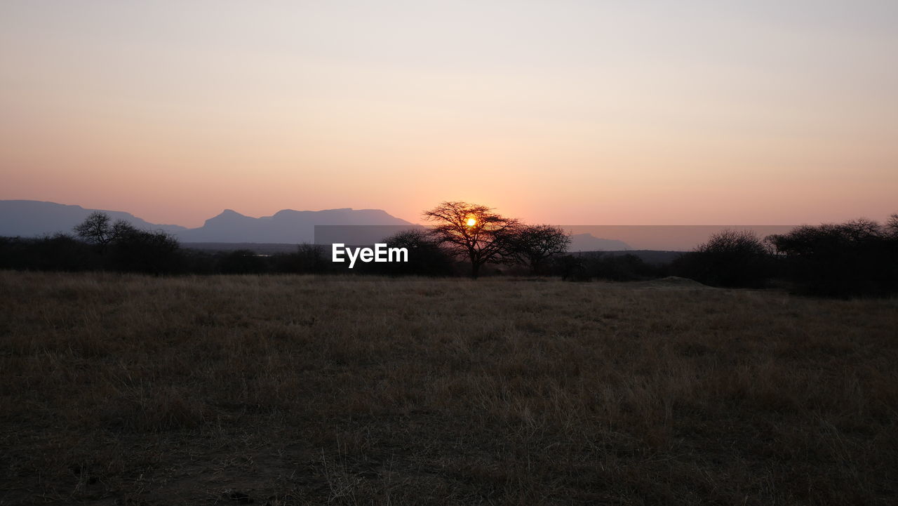 Scenic view of field against sky during sunset