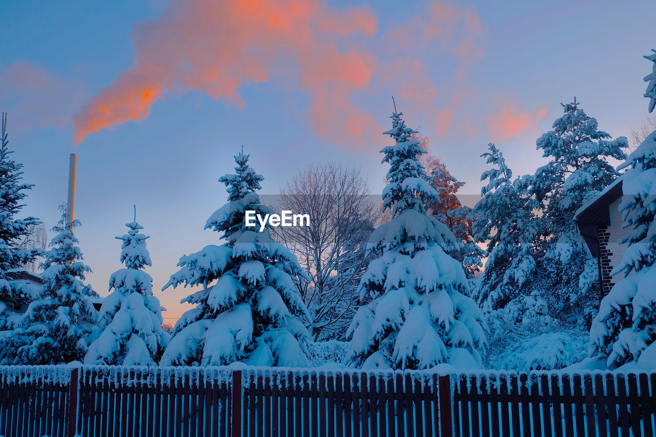 A winter scene of snow-covered trees behind a fence, a chimney in the background is emitting smoke.