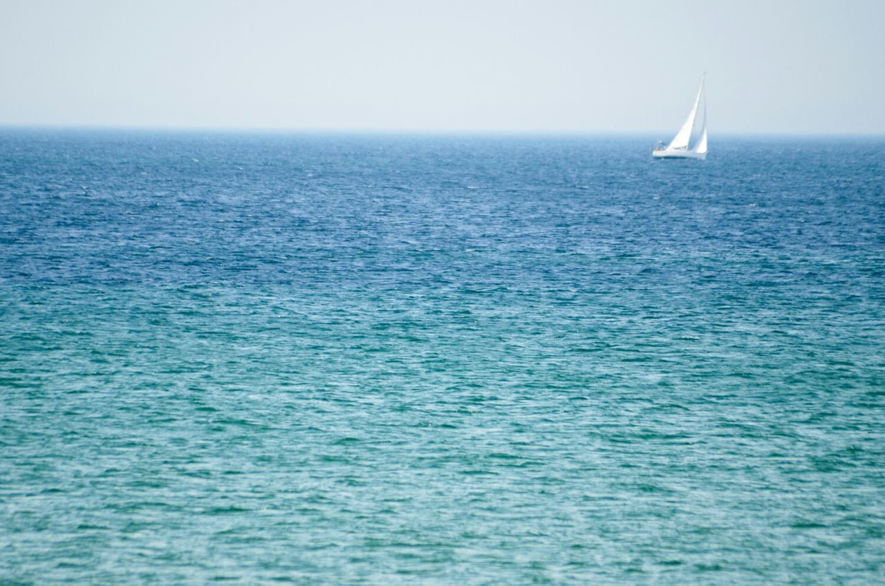 SAILBOAT SAILING IN SEA