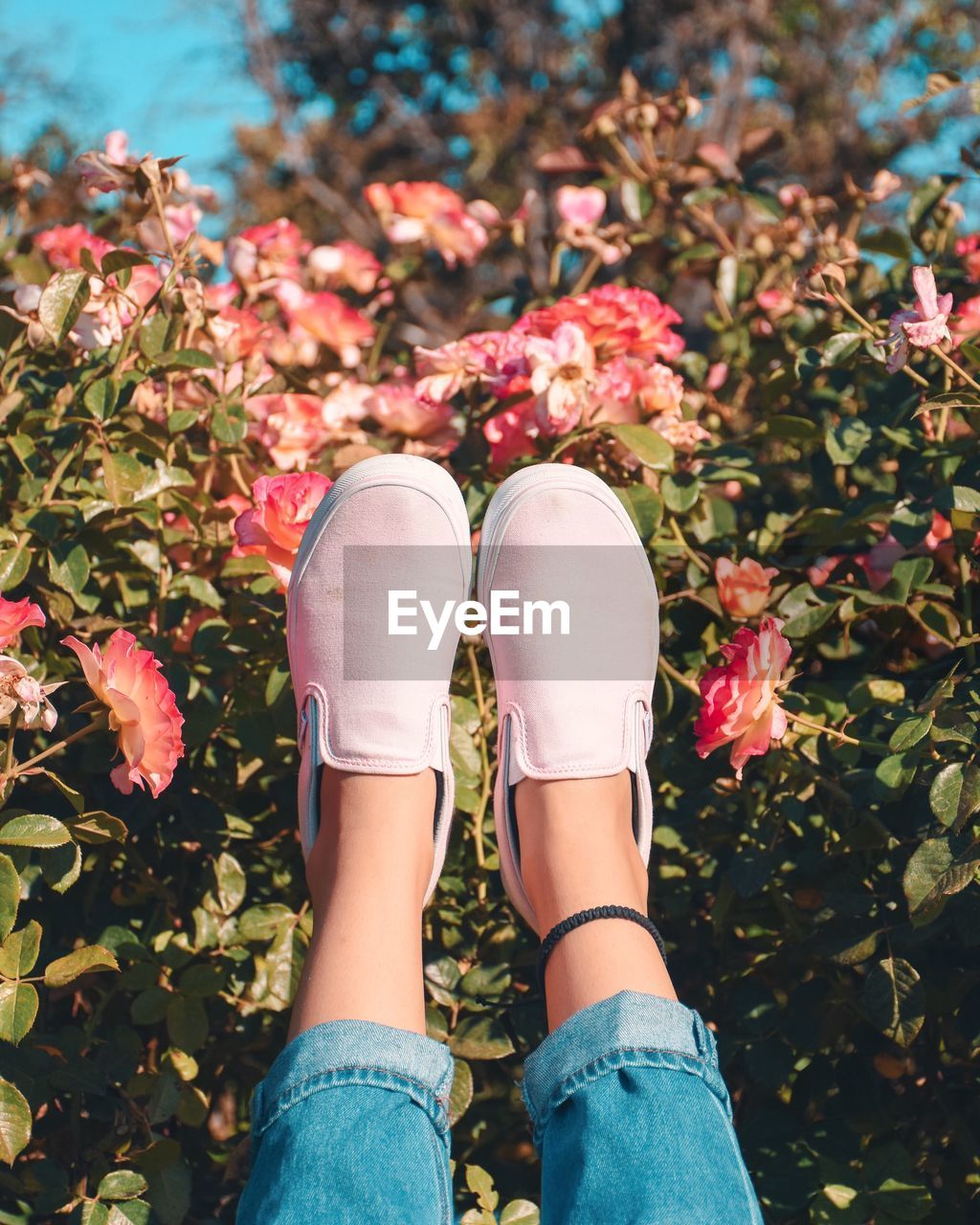 Low section of woman with feet up against flowering plants