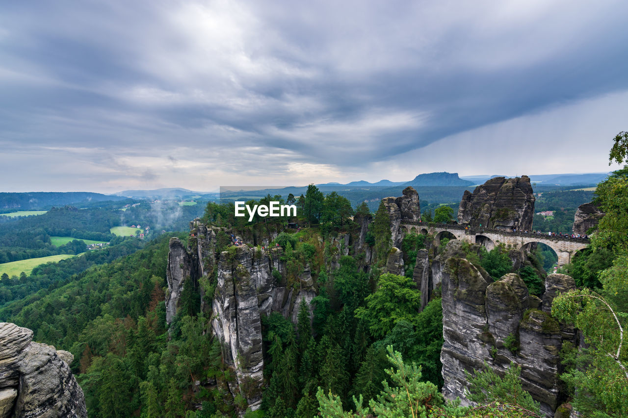 PANORAMIC VIEW OF TREES AGAINST CLOUDY SKY