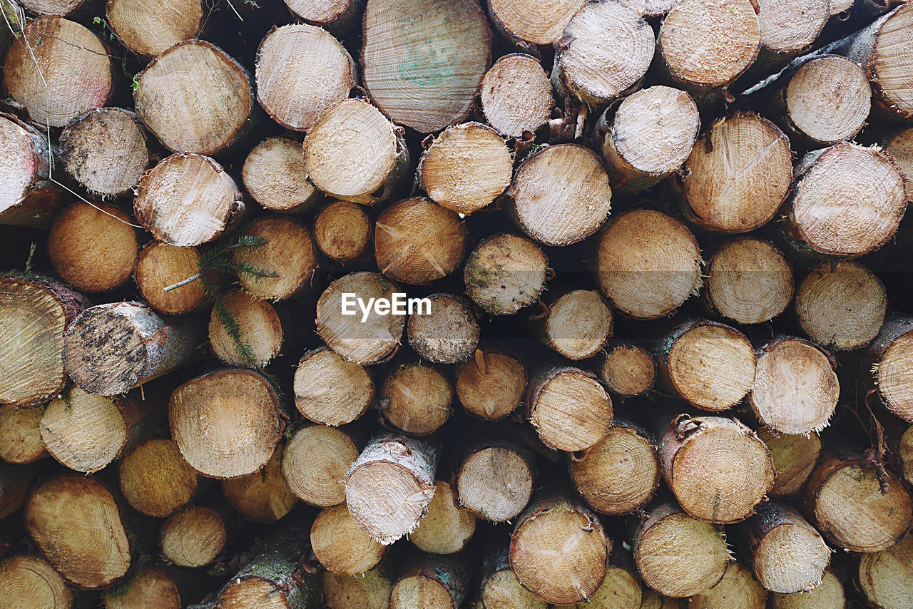timber, log, firewood, lumber industry, wood, deforestation, forest, large group of objects, tree, power generation, fossil fuel, environmental issues, abundance, logging, backgrounds, full frame, woodpile, lumber, environmental damage, heap, no people, nature, close-up, arrangement, trunk, repetition, brown, cross section, shape, outdoors, textured, pattern
