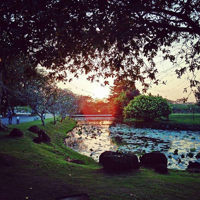 SCENIC VIEW OF SUNSET OVER FIELD