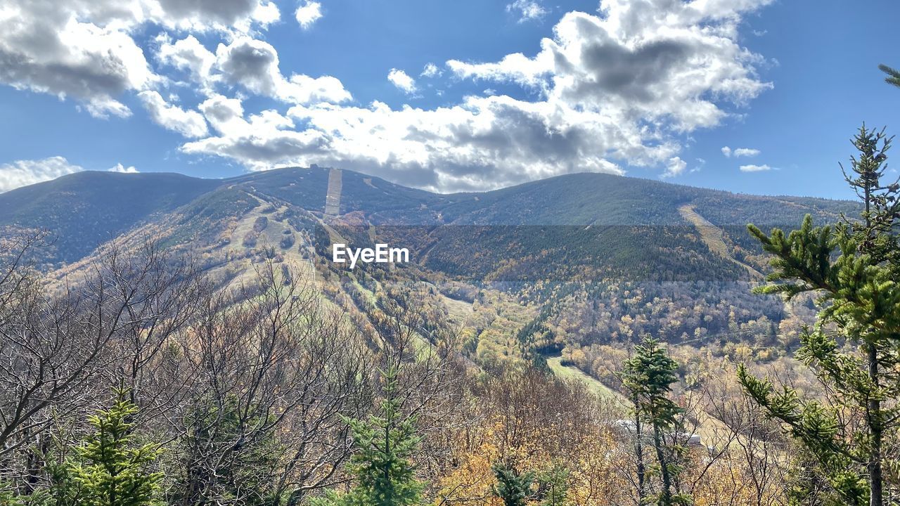 SCENIC VIEW OF LAND AGAINST SKY