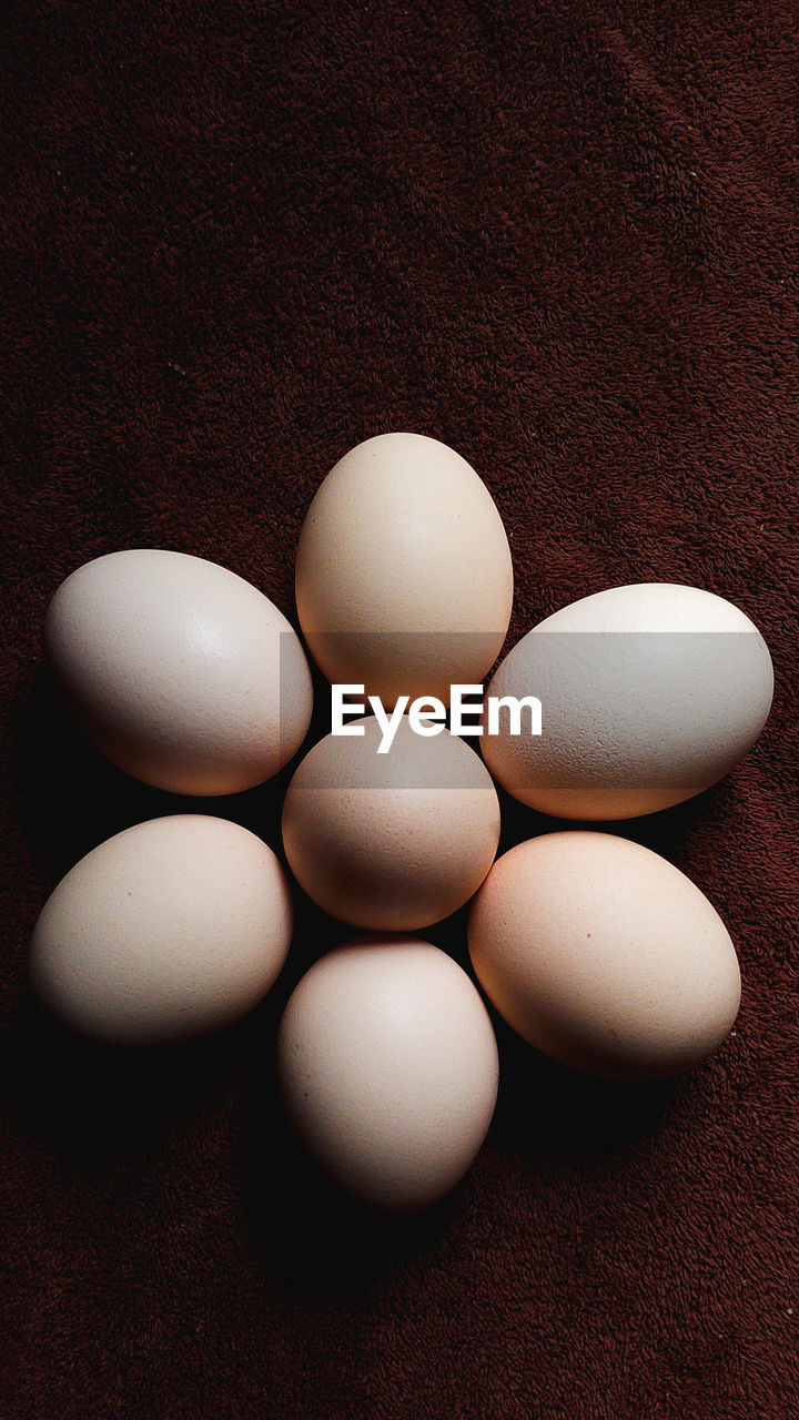 food, food and drink, egg, wellbeing, freshness, no people, brown, healthy eating, raw food, fragility, indoors, close-up, studio shot, group of objects, simplicity, still life, animal egg, organic, protein, high angle view, medium group of objects, white, colored background