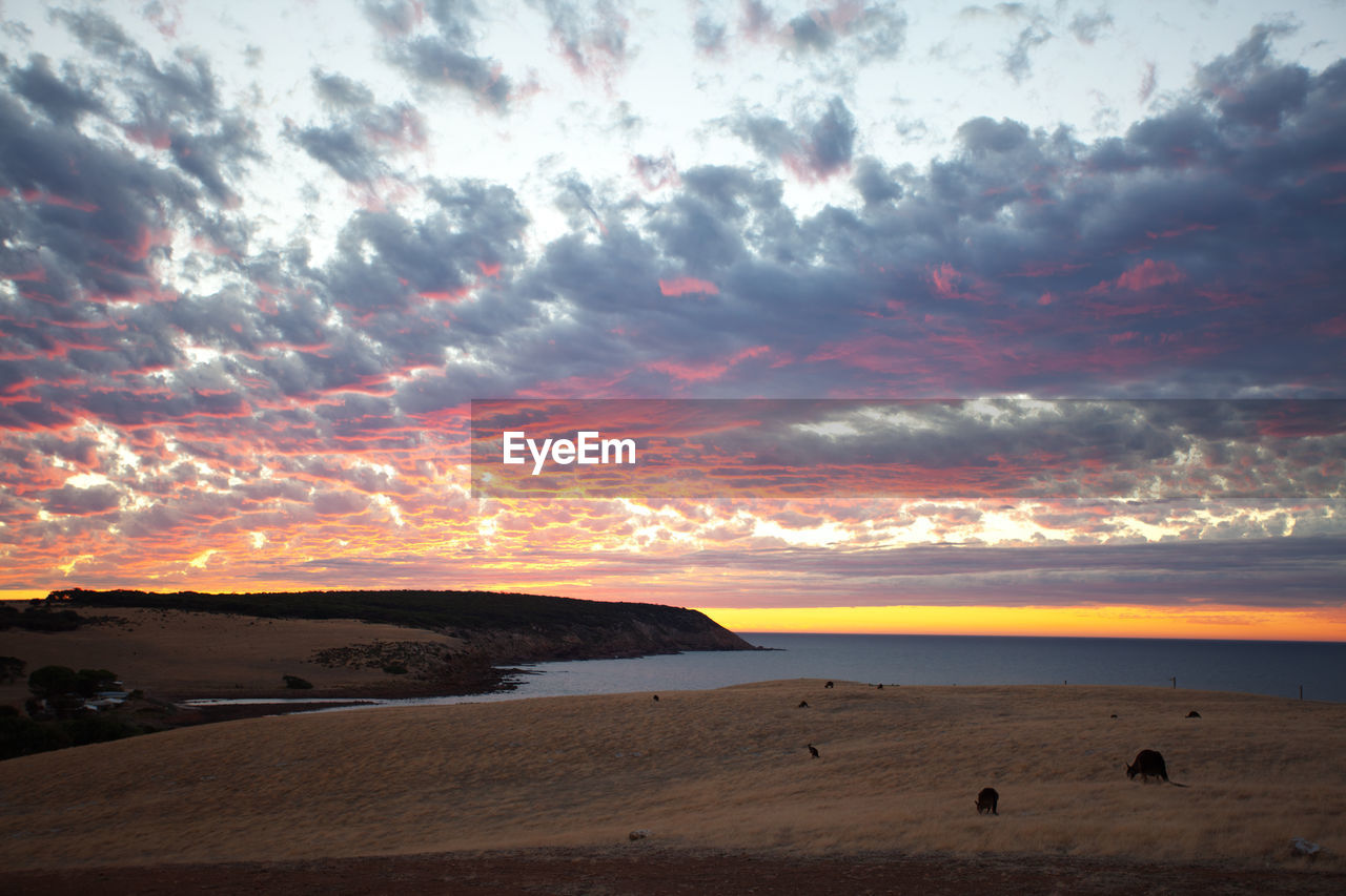 Scenic view of beach against sky during sunset