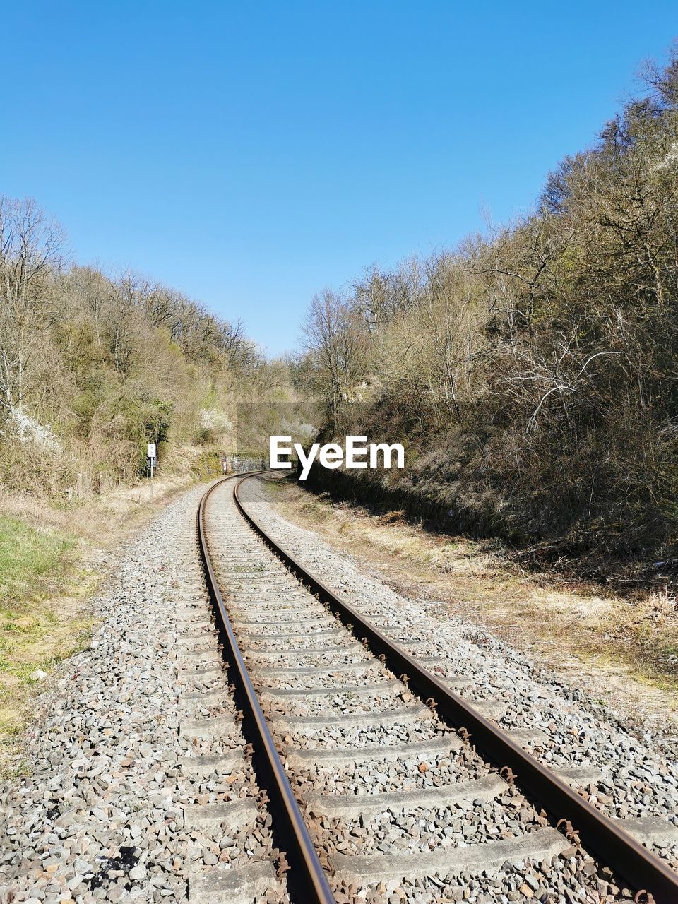 Railroad tracks along trees and plants against clear sky