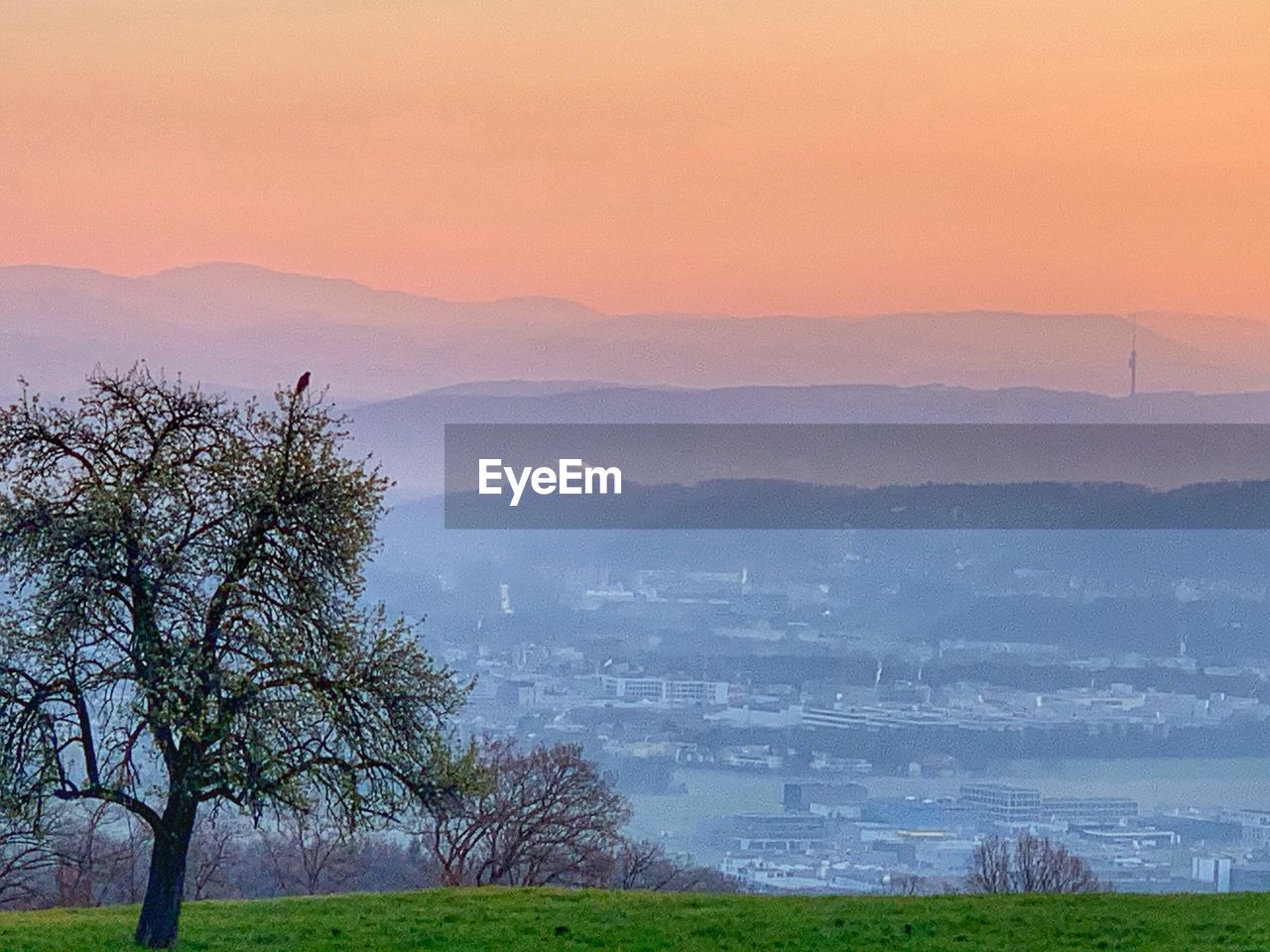 Scenic view of field against sky during sunset