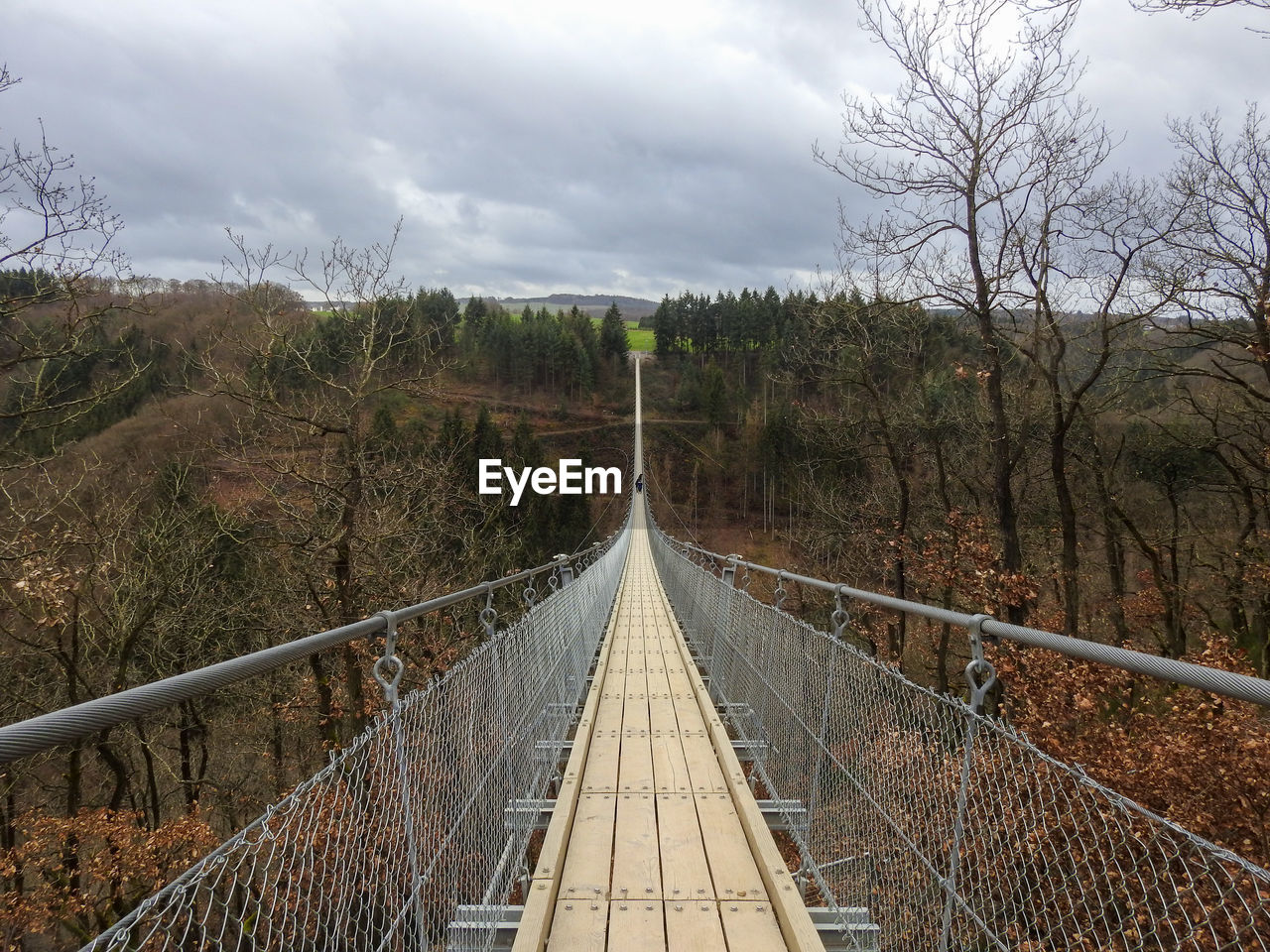 View of footbridge through trees