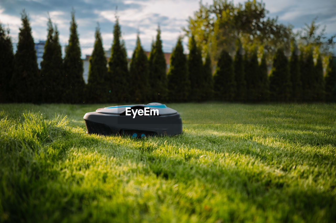 Automatic baterry lawn mower cutting green grass in modern garden. sunset mood. robot. copyspace