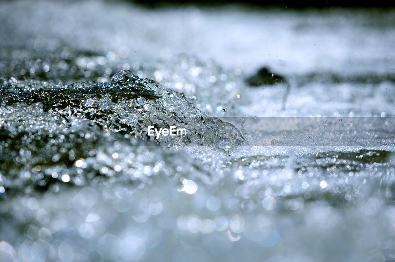 CLOSE-UP OF WATER SPLASHING ON LEAF