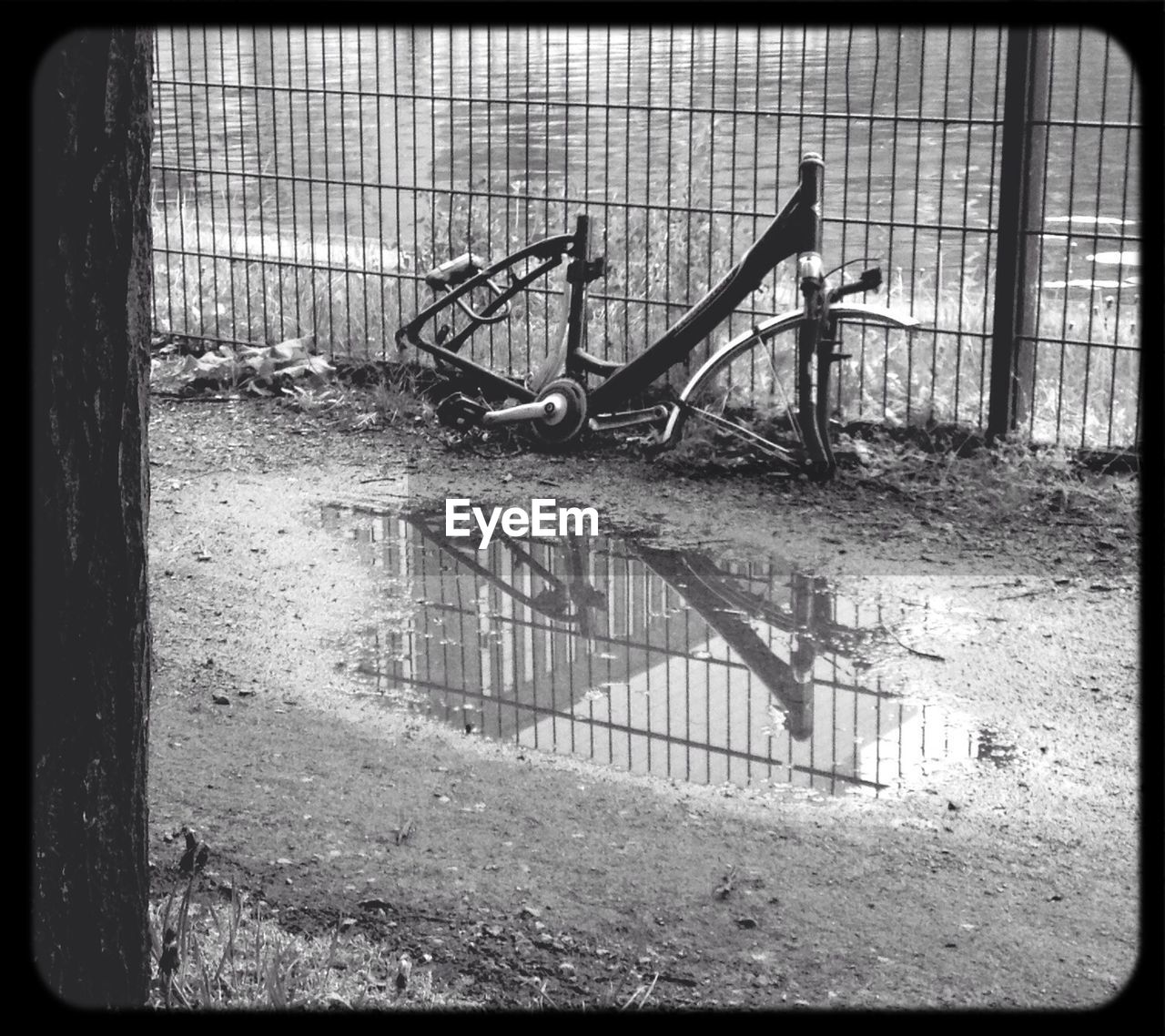 Broken bicycle by puddle on street