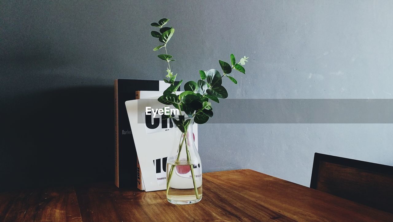 POTTED PLANT IN VASE ON TABLE AT HOME