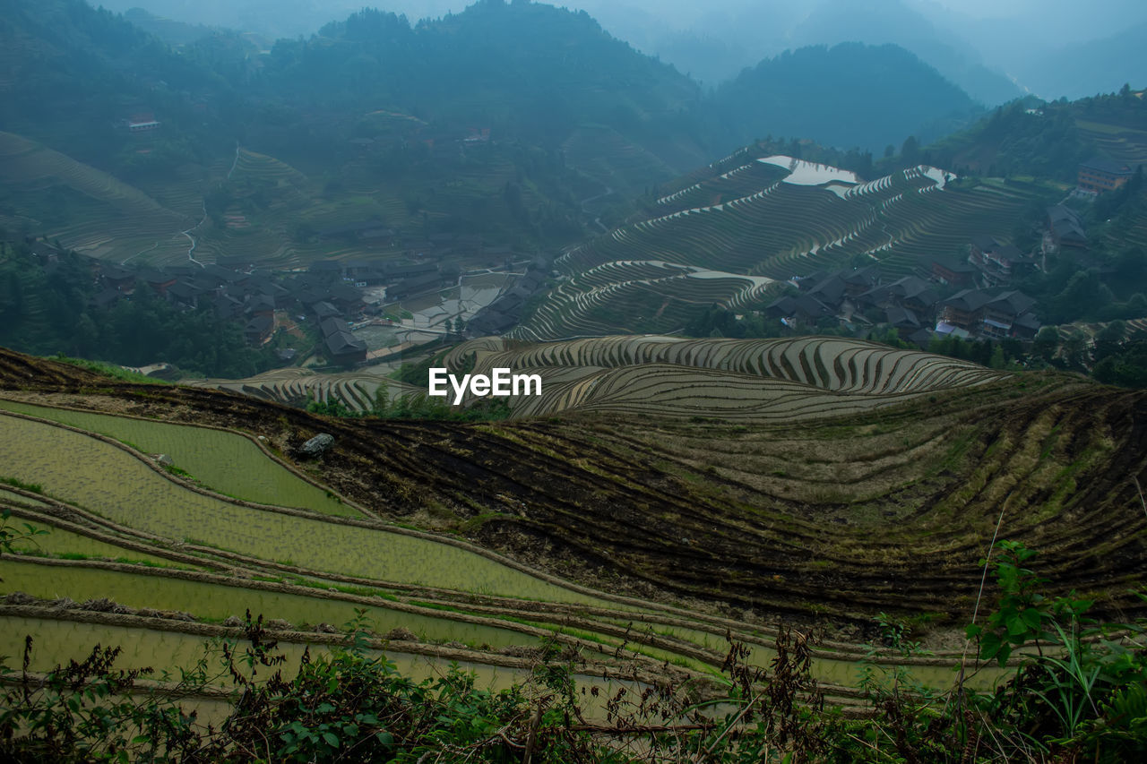 Scenic view of agricultural landscape