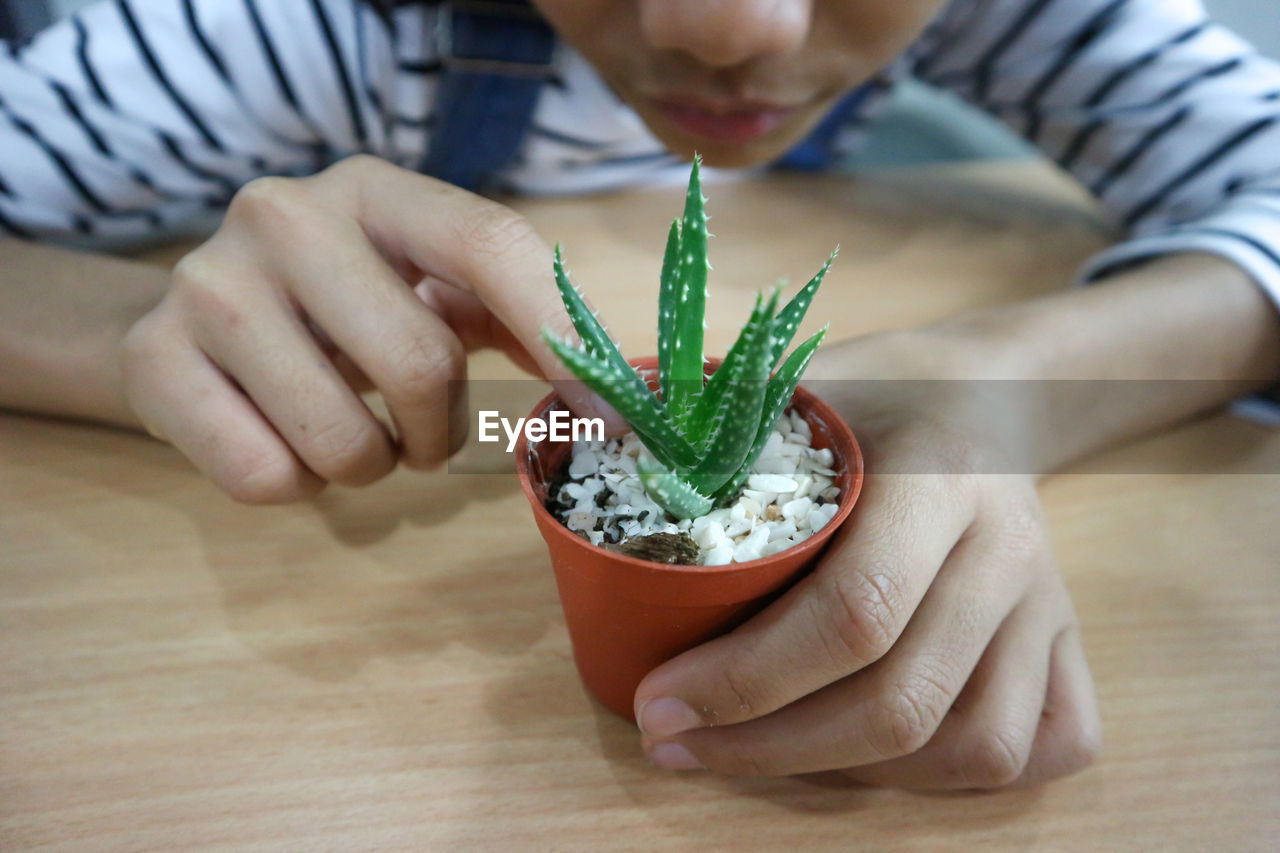 Close-up of girl touching succulent plant in pot on table