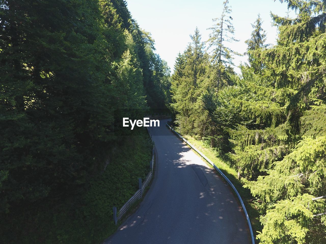 Road amidst trees in forest against sky