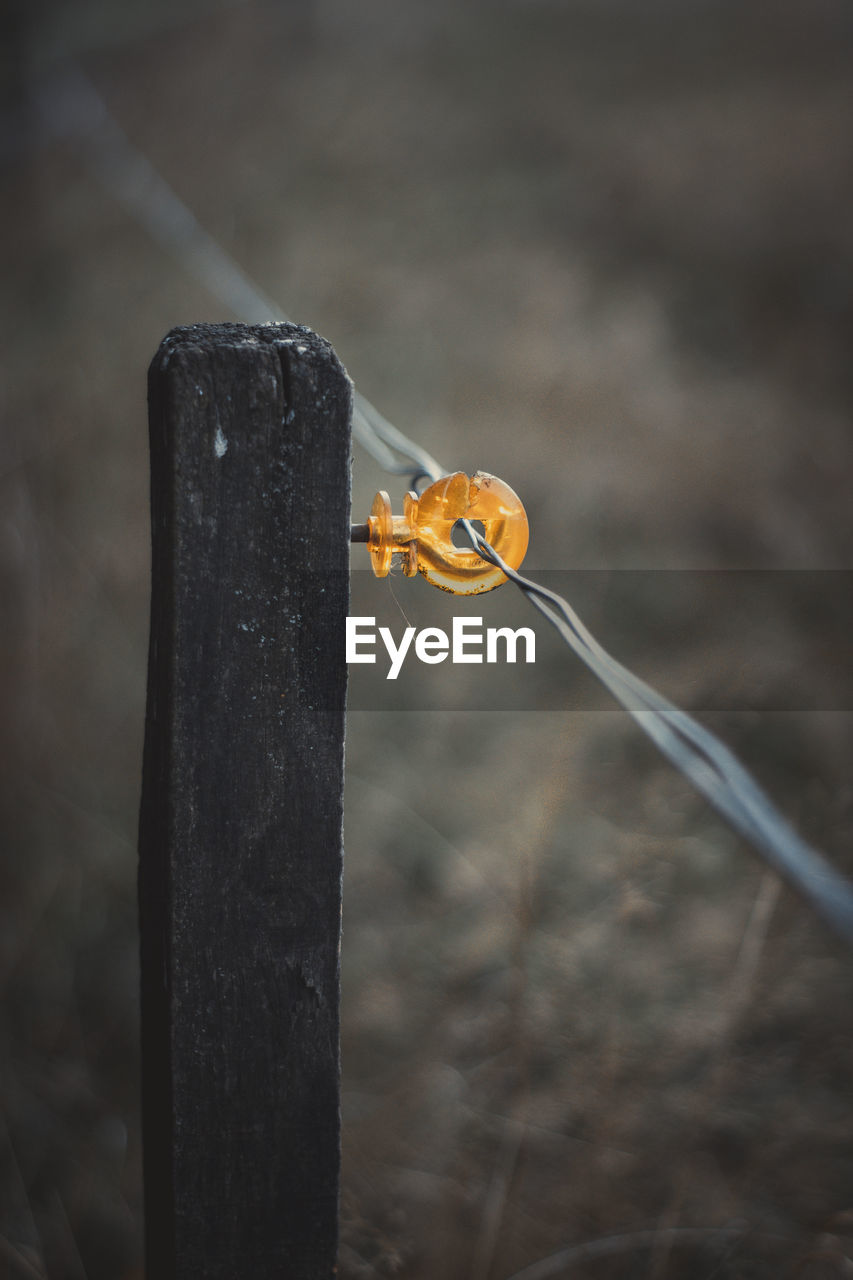 CLOSE-UP OF YELLOW BUTTERFLY PERCHING ON WOODEN FENCE