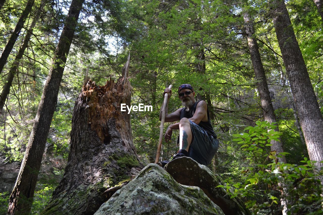 Low angle view of man tree trunk in forest