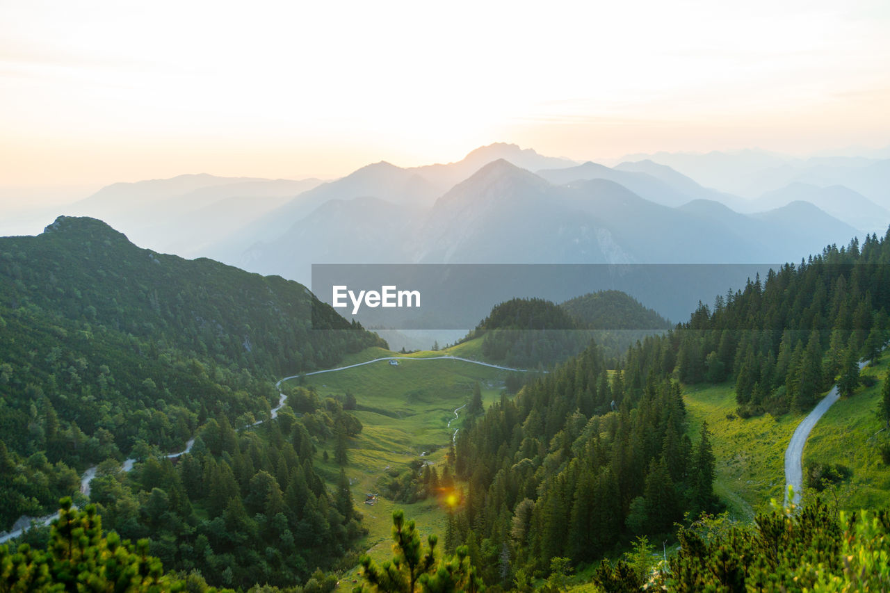 SCENIC VIEW OF TREES AND MOUNTAINS AGAINST SKY