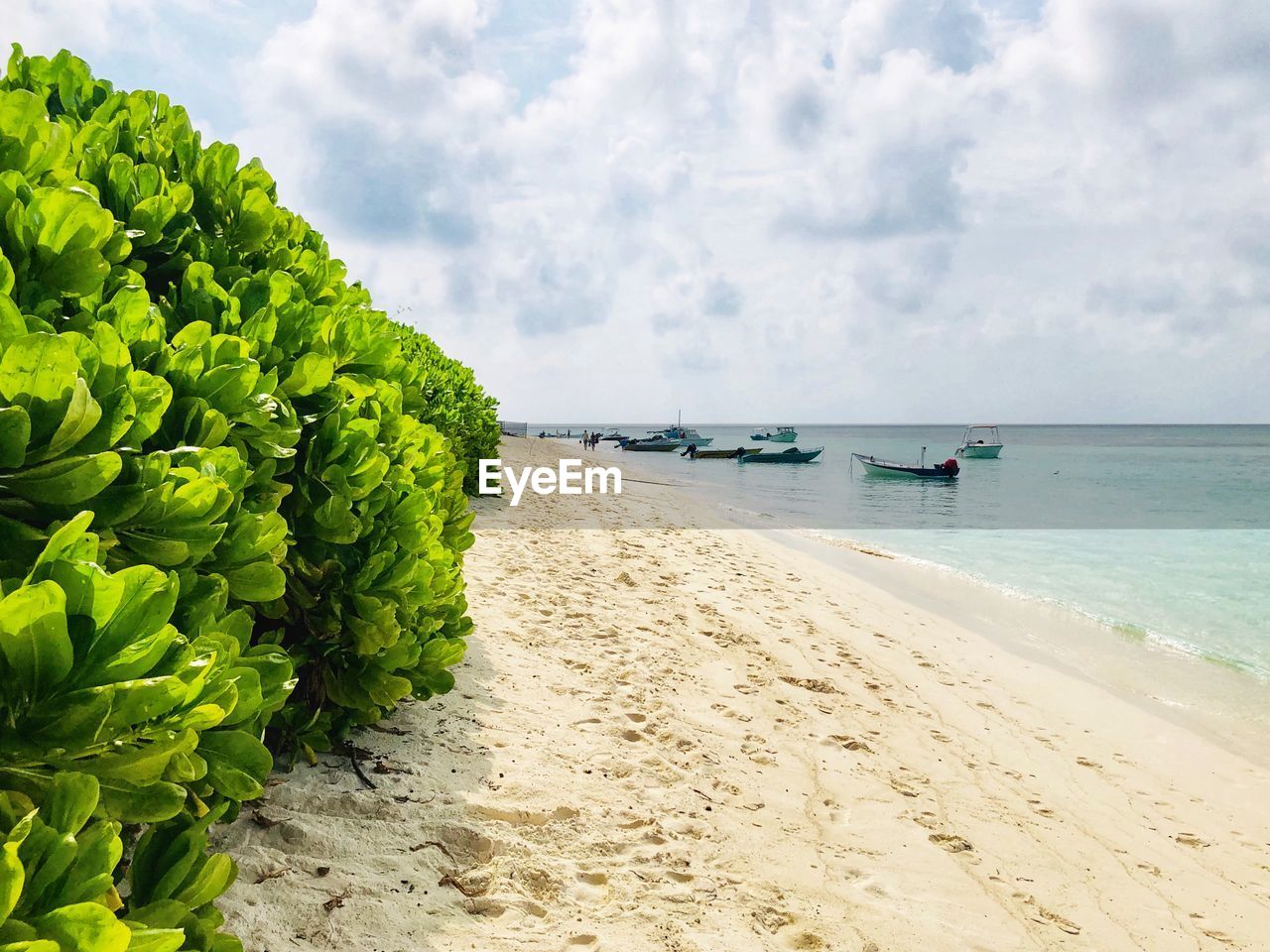 Scenic view of beach against sky