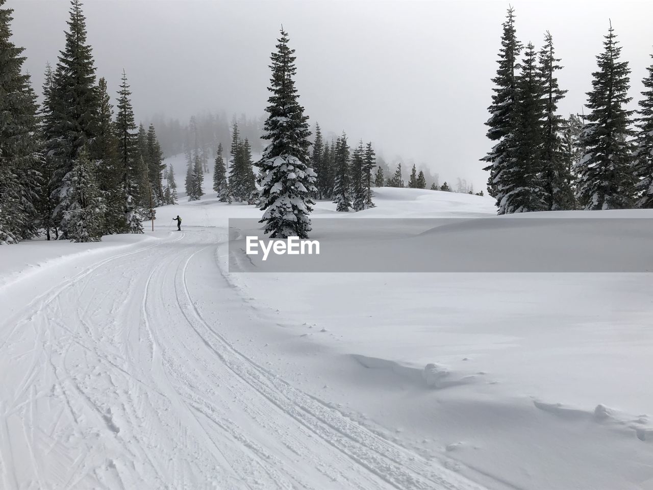 Cross-country ski track and skier on mountain ridge during stormy day