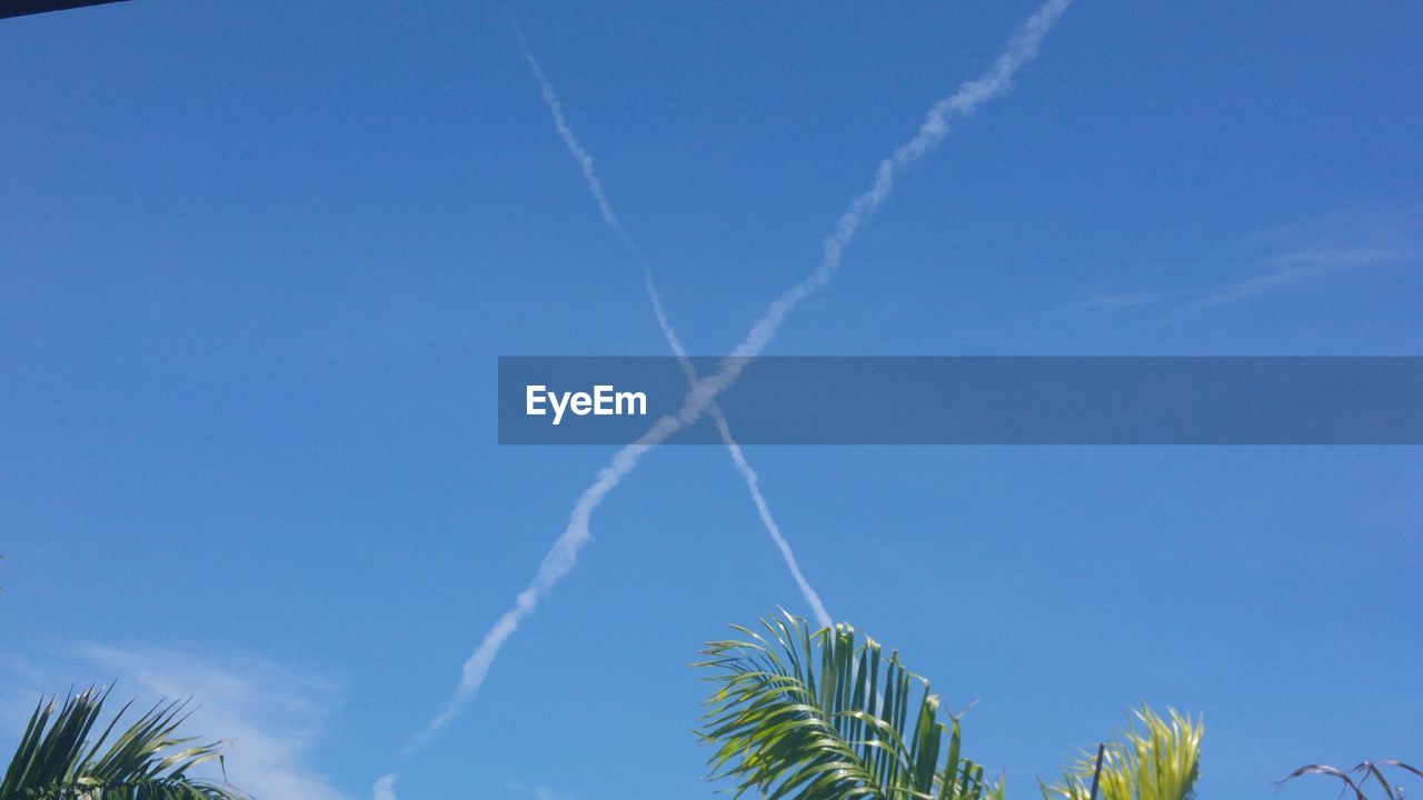 LOW ANGLE VIEW OF BLUE SKY AND PALM TREES AGAINST VAPOR TRAIL