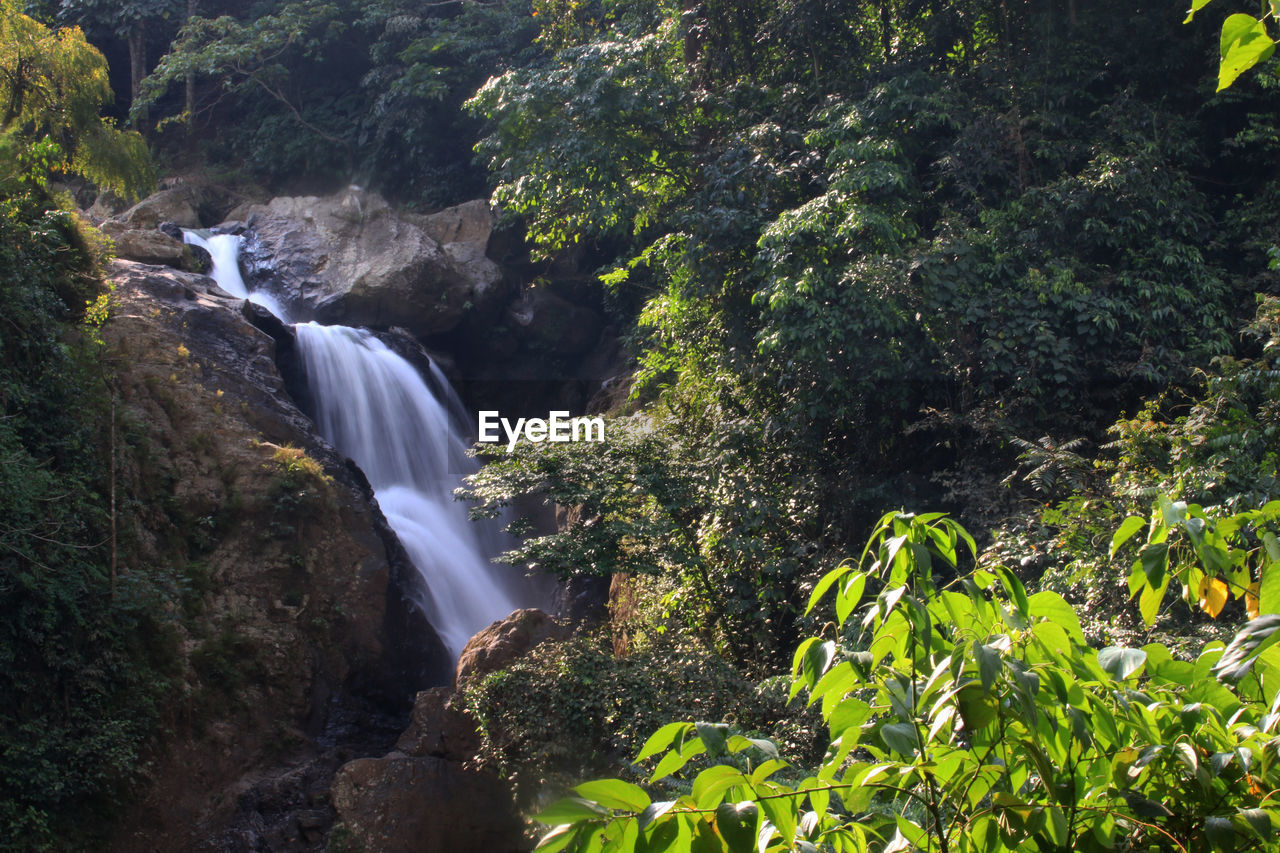 Scenic view of waterfall in forest