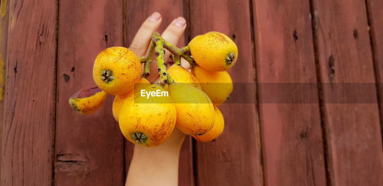 High angle view of fruits on table