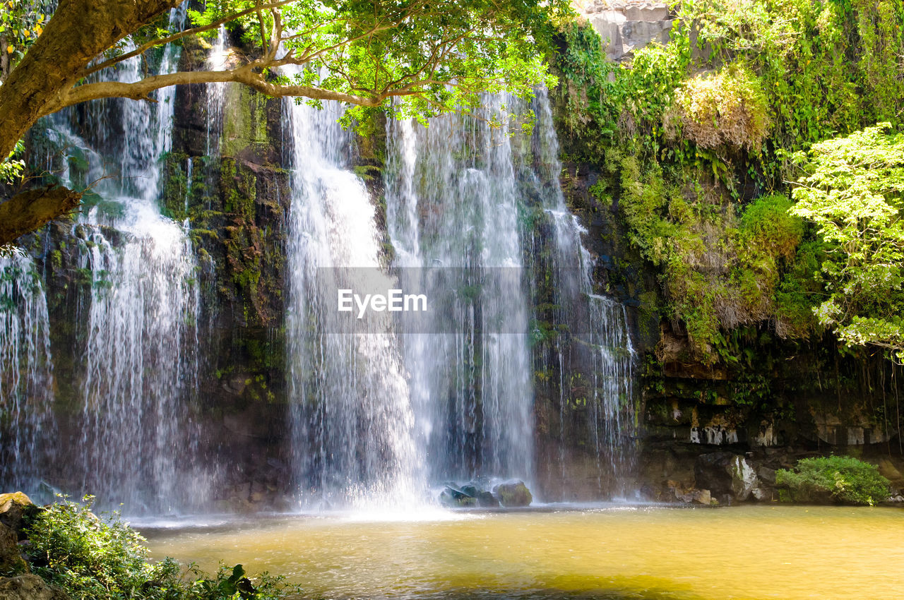 WATERFALL IN FOREST