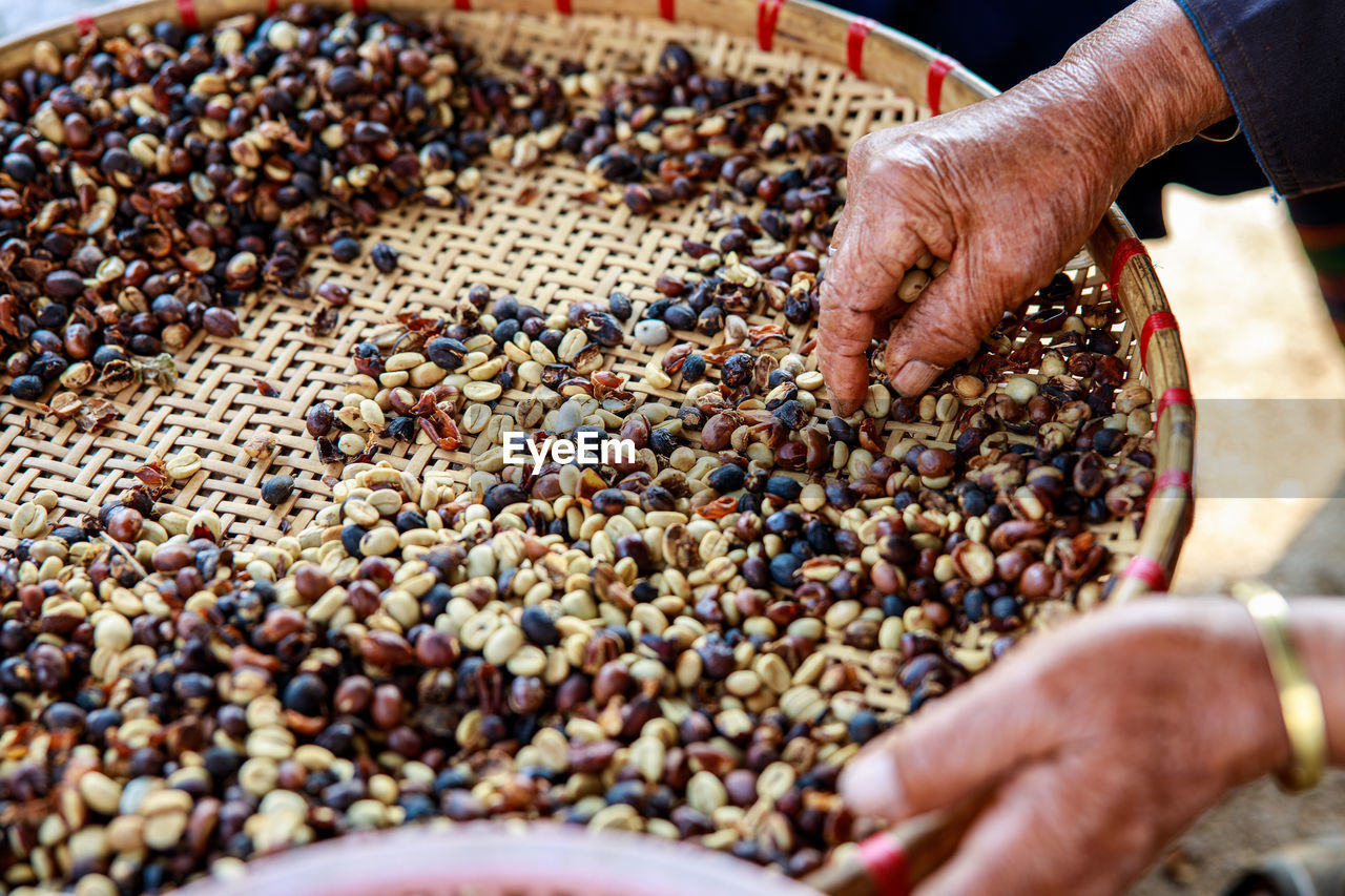 Process of sorting dried coffee beans by hand farmers