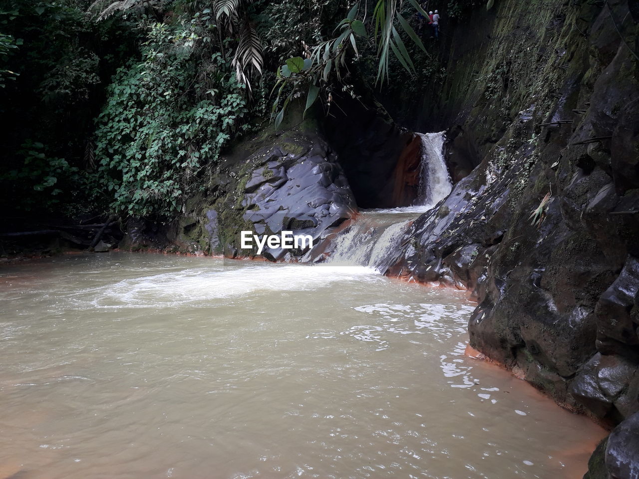 RIVER FLOWING AMIDST ROCKS IN FOREST