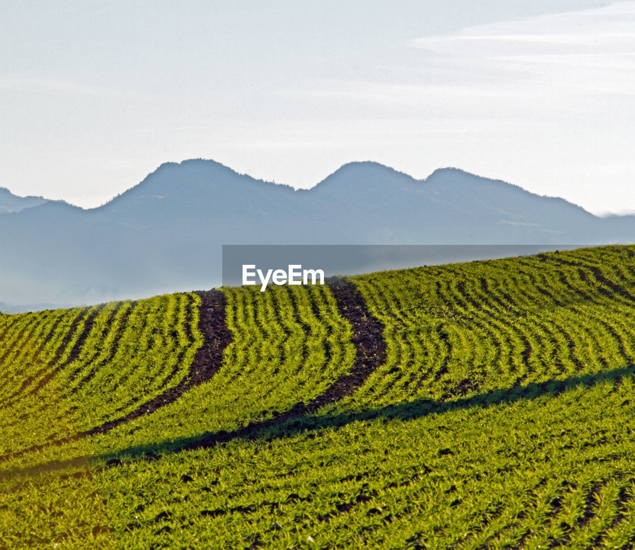 Scenic view of agricultural field against sky and swiss mountains