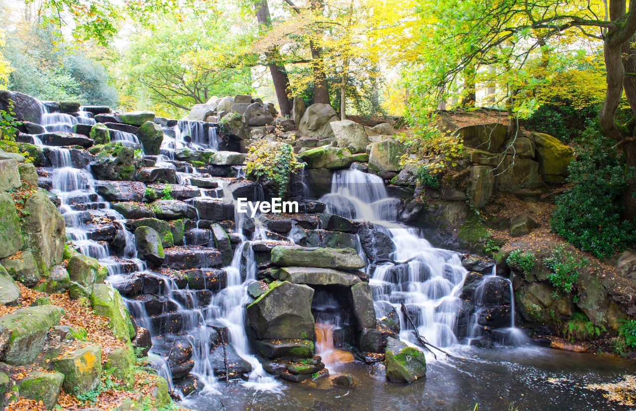 Idyllic view of waterfall in forest