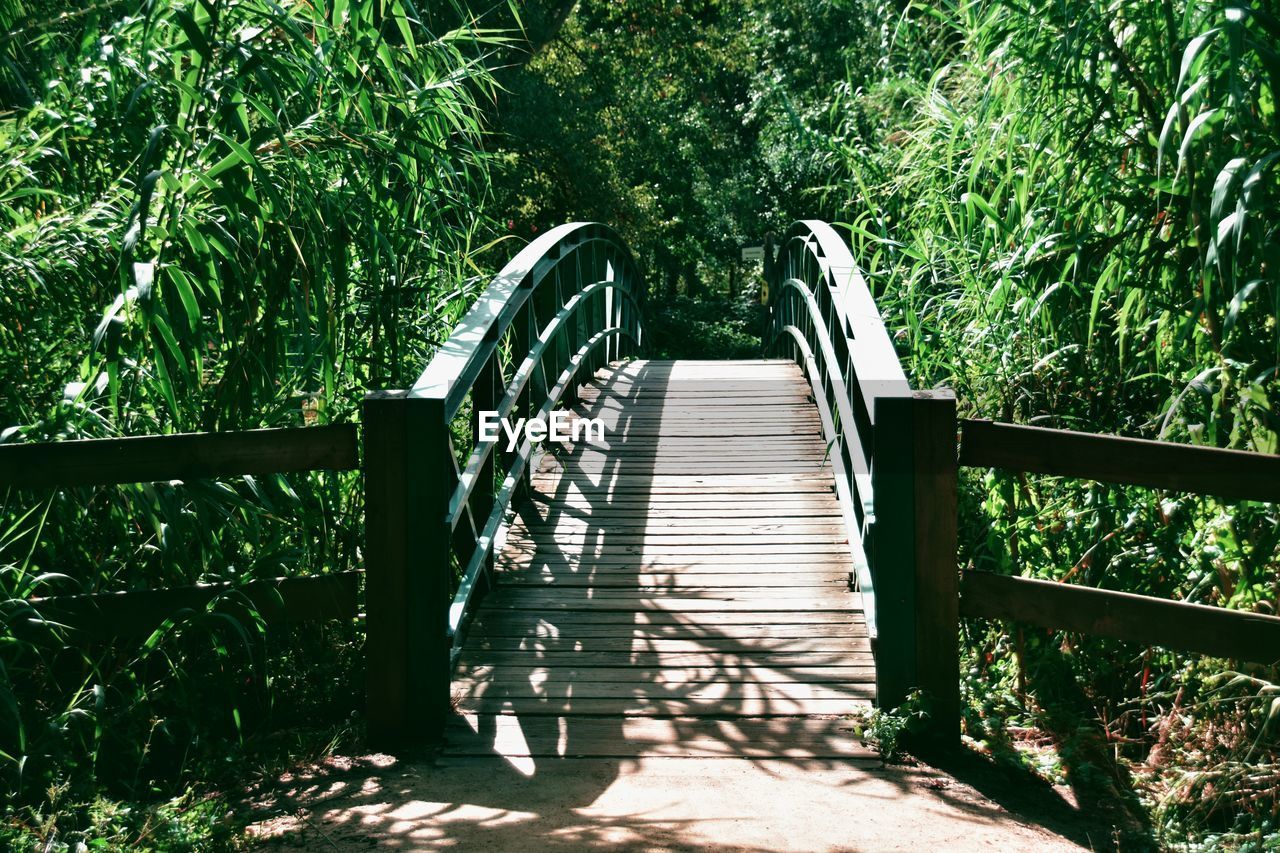 Wooden footbridge amidst trees in forest