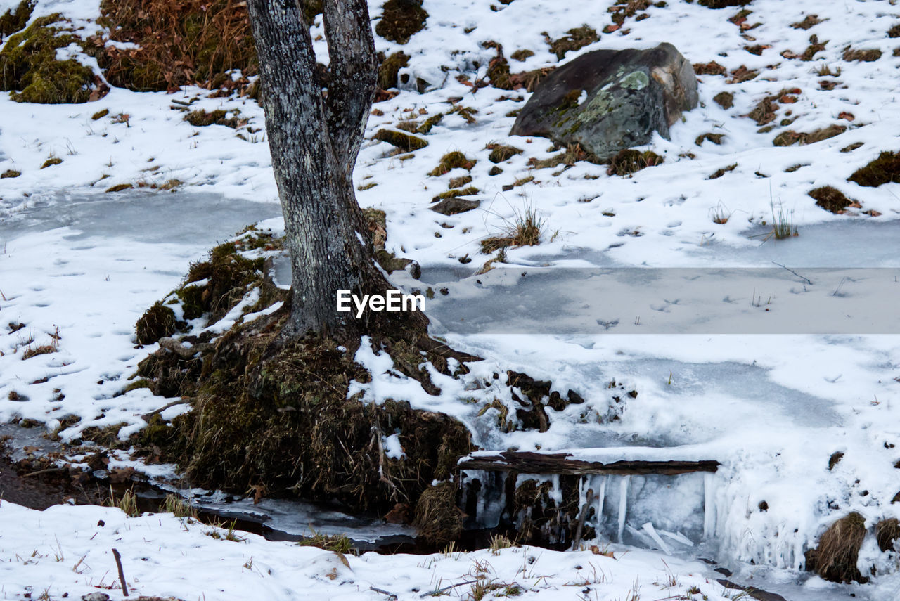 SCENIC VIEW OF SNOW COVERED FIELD AND TREES