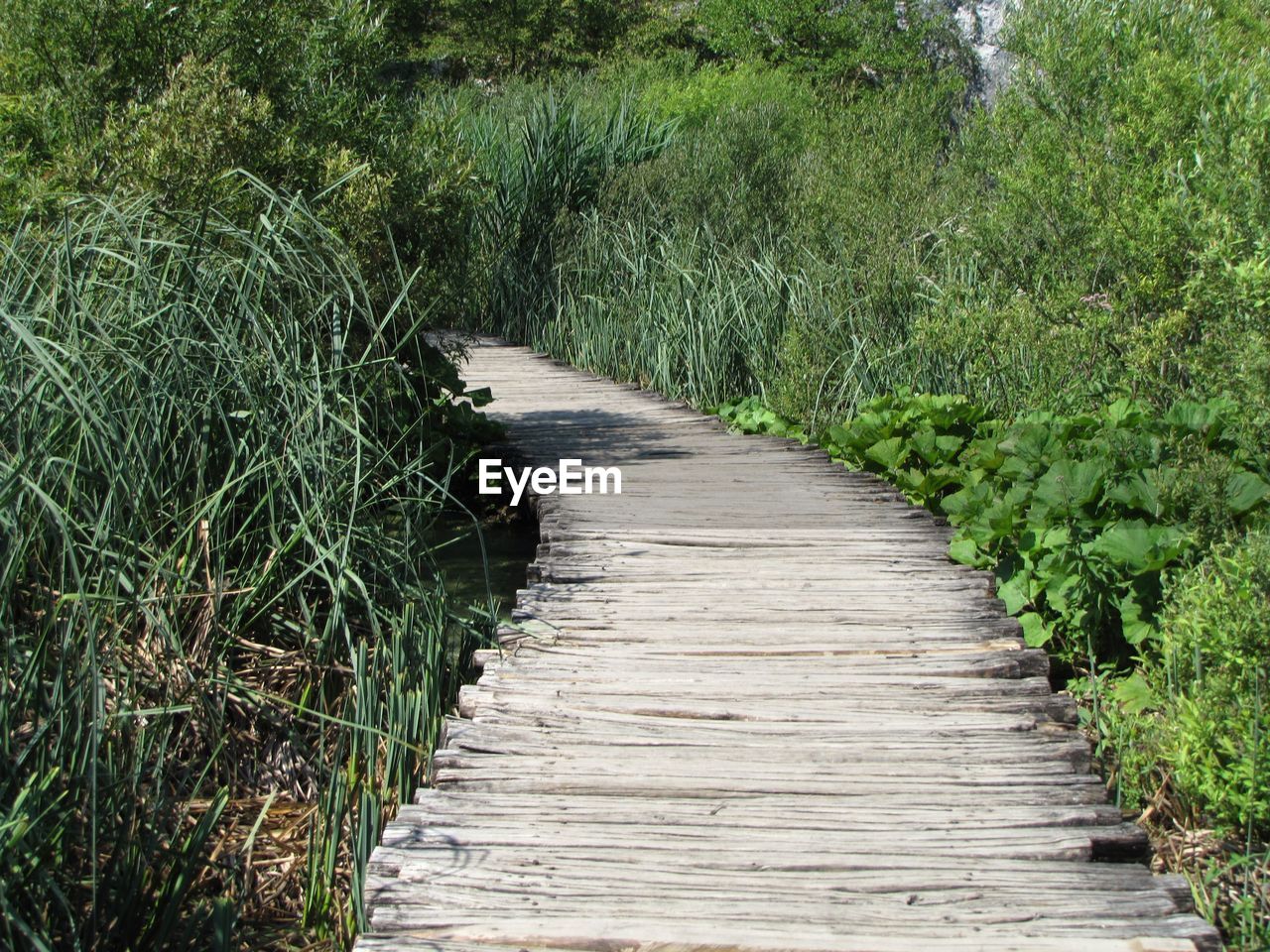 Boardwalk amidst plants on field at plitvice lakes national park