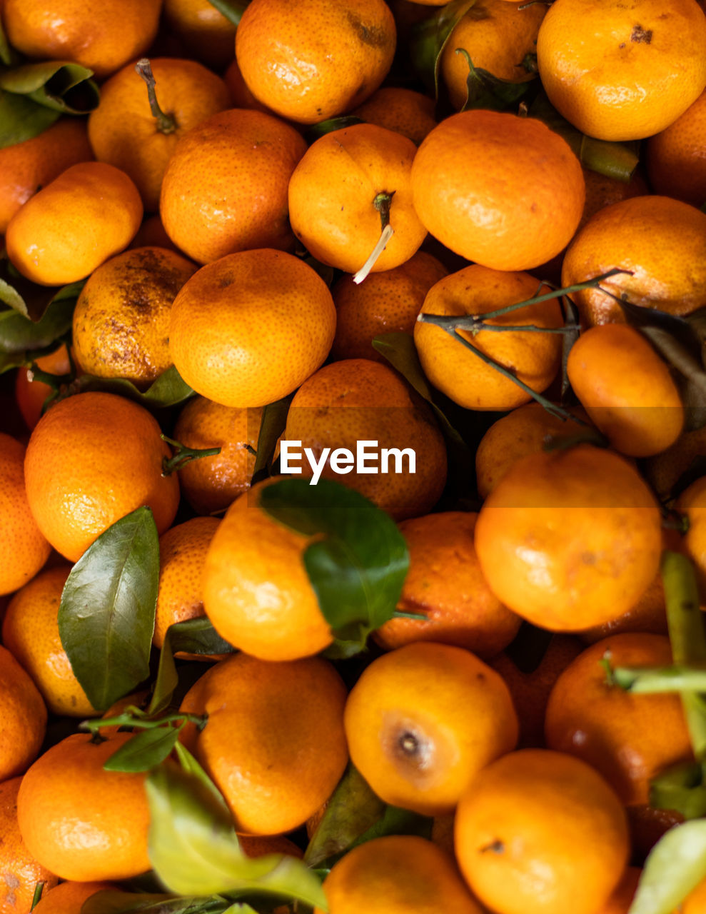 full frame shot of orange fruits