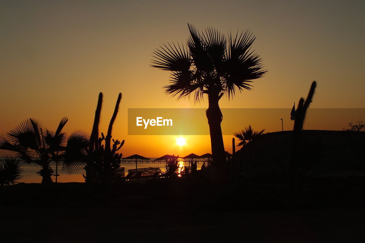 Silhouette palm trees against sky during sunset