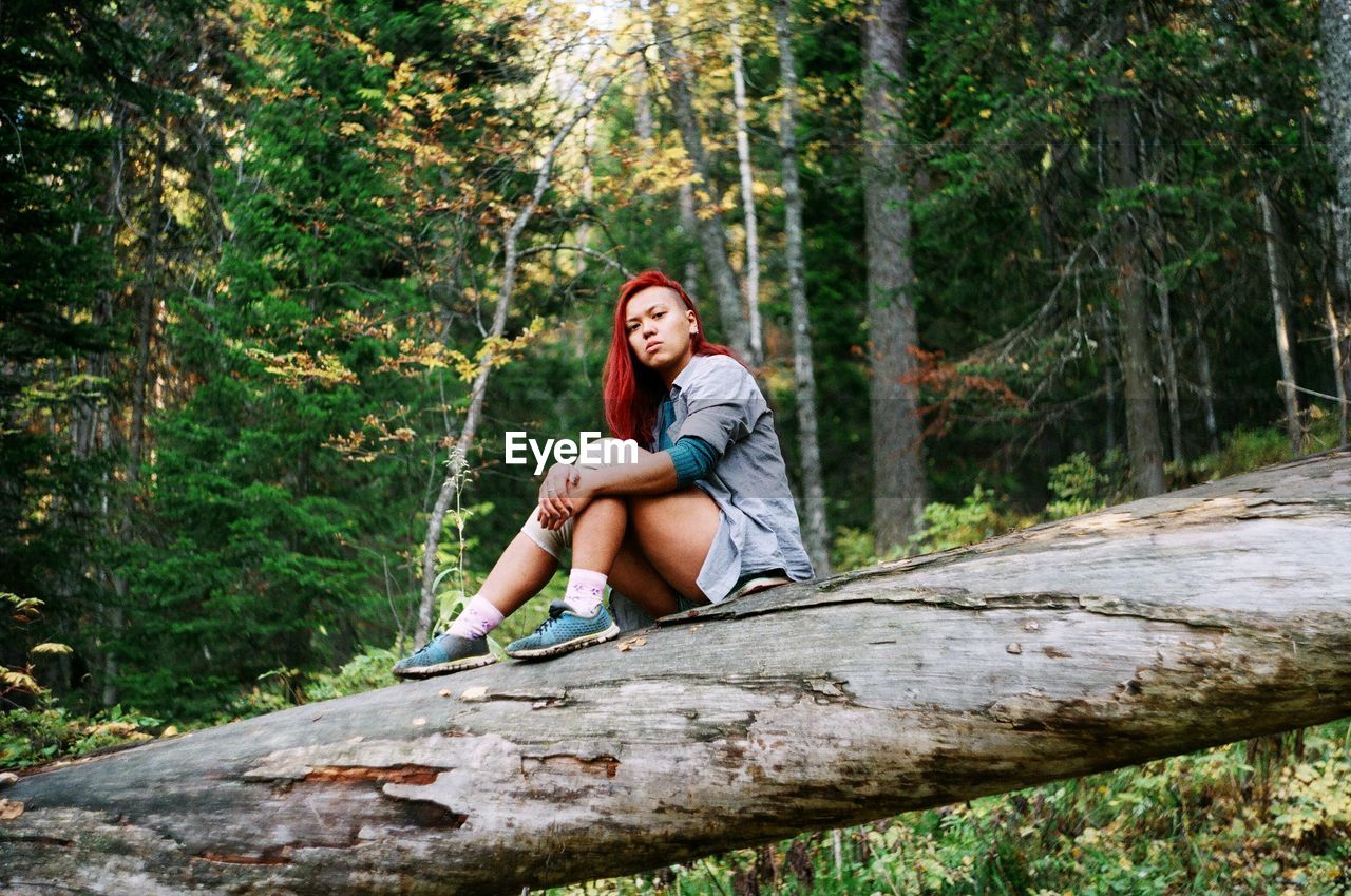 Portrait of young woman sitting on tree trunk in forest