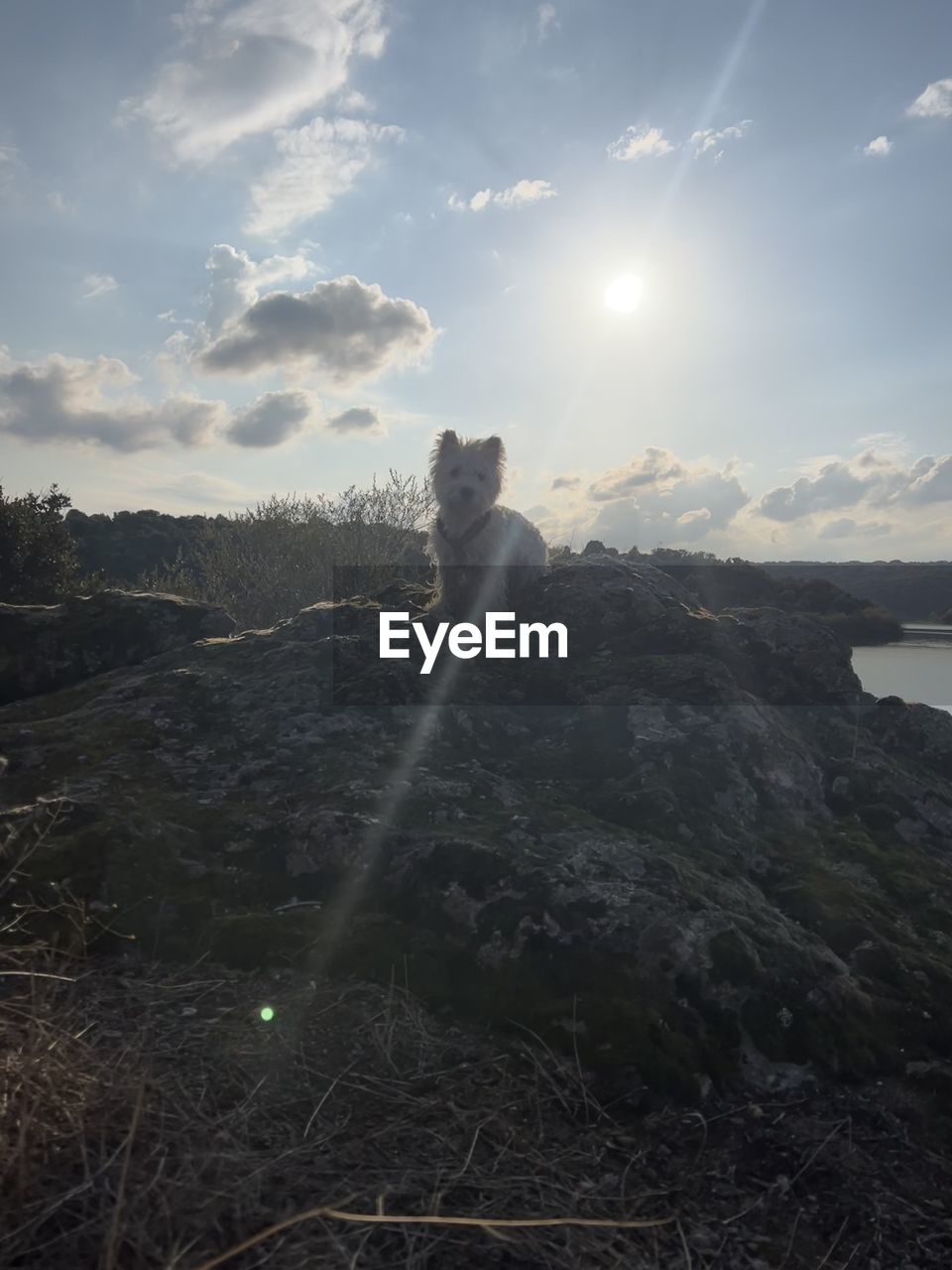 sky, cloud, nature, environment, mountain, sunlight, scenics - nature, landscape, beauty in nature, land, lens flare, sunbeam, outdoors, sun, horizon, travel, day, travel destinations, tranquility, no people, mountain range, non-urban scene, rock, snow, water, plant