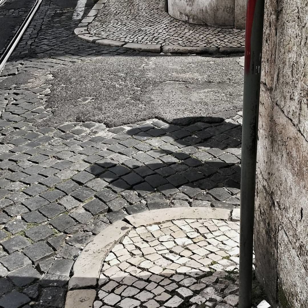 High angle view of shadow of people on paving street