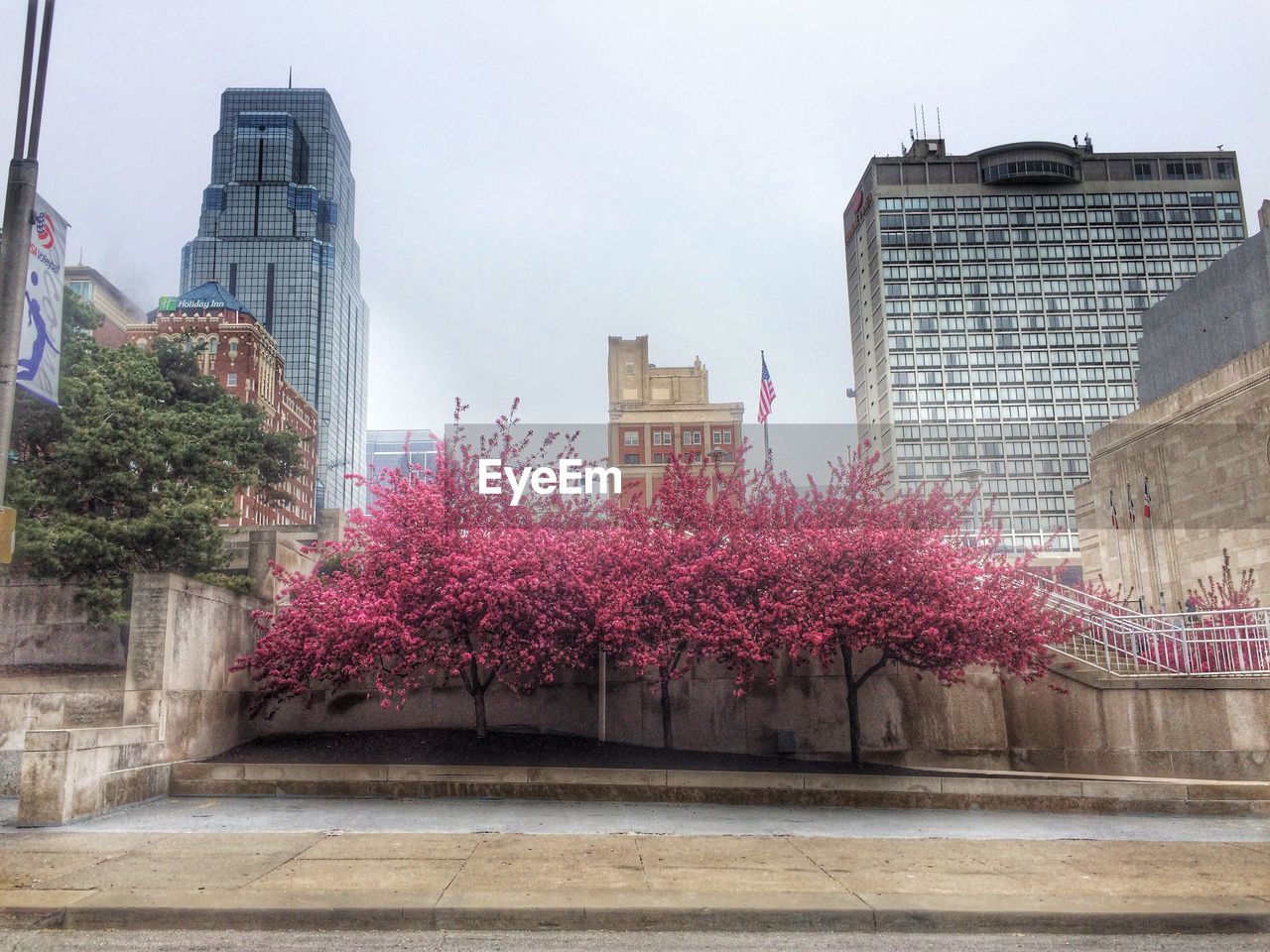 LOW ANGLE VIEW OF FLOWERS IN BUILDING