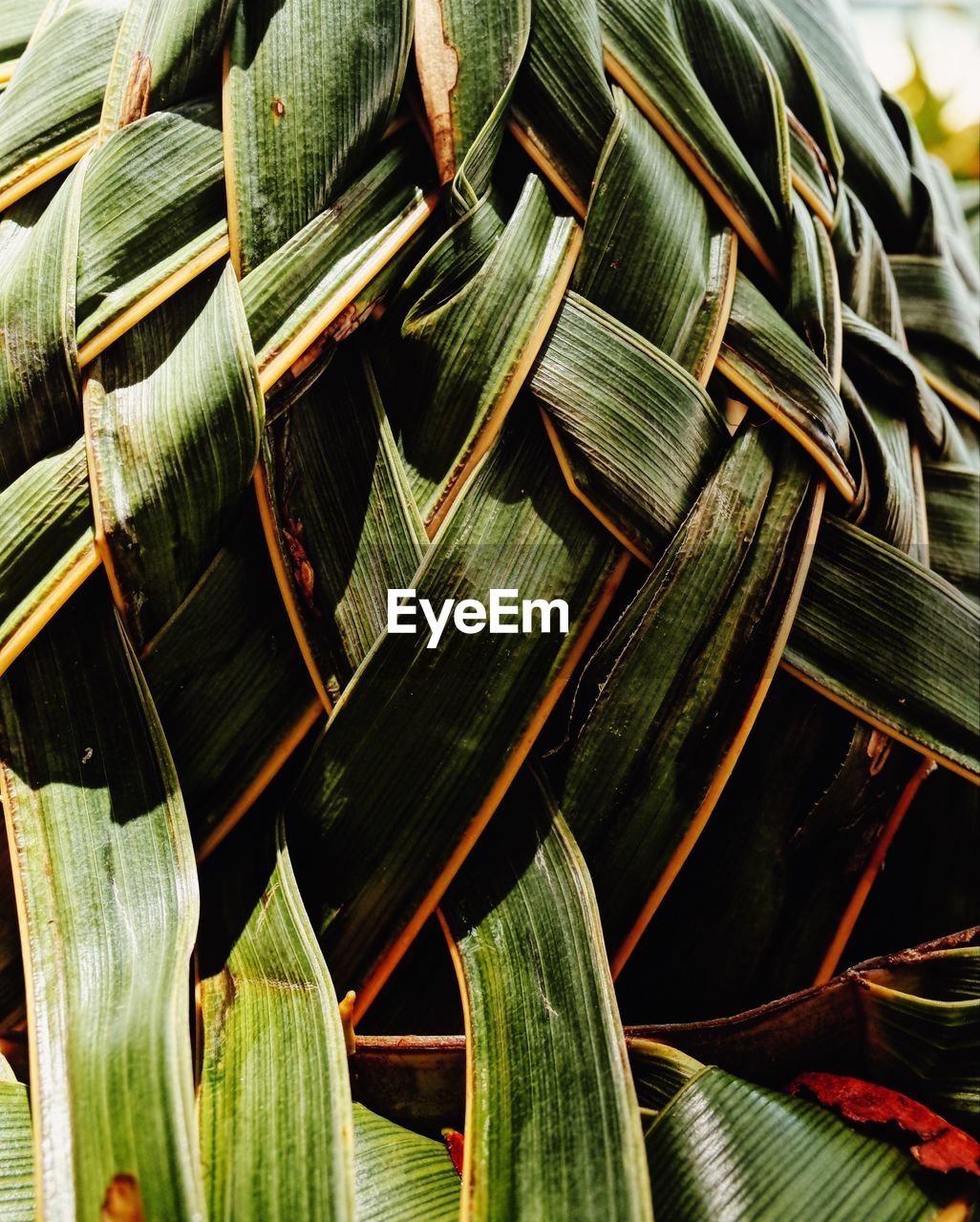 FULL FRAME SHOT OF GREEN LEAVES ON TABLE